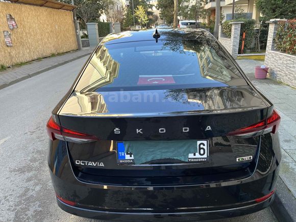 Sahibinden Skoda Octavia 1.0 e-Tec Elite 2024 Model İstanbul