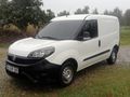 Sahibinden Fiat Doblo Cargo 1.3 Multijet Plus 2020 Model