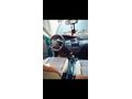 Sahibinden Ford Focus 1.6 Ambiente 2001 Model