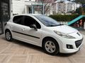 Boyasız 207