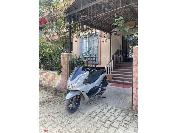 TEMİZ Sahibinden 2024 Honda PCX125 - 3.8xx KM - NARDO GRİ 