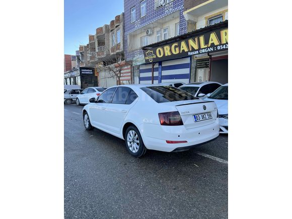 Sahibinden Skoda Octavia 1.6 TDI Ambition 2013 Model 