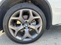 ASLAN MOTORS'DAN HATASIZ AYARINDA // TABA // VAKUM
