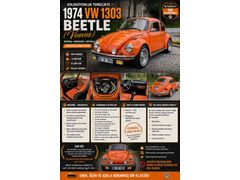 Böylesi Yok Sahibinden Volkswagen 1303 VW Big 