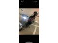Sahibinden Elektrikli Araçlar Scooter Yuki 