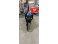 Sahibinden Honda CBR 500R