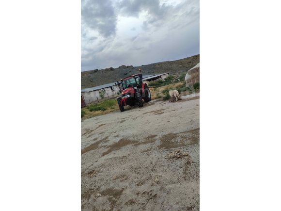 Acil satılık Case IH JX70C 
