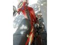 Sahibinden Motoran Torro LX 100