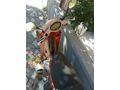 Sahibinden Motoran Torro LX 100