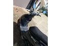 Sahibinden Yuki Casper S 50