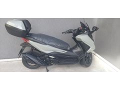 (2026 Forza)