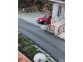 1993 model degisensiz NAR ÇİÇEĞİ lfiyat bugün  için  bu para