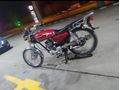 Sahibinden Kuba CG 100