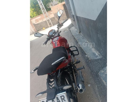 Falcon Wonder 180