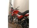 Falcon Wonder 180