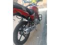 Falcon Wonder 180