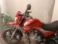 Falcon Wonder 180