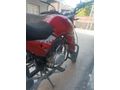 Falcon Wonder 180