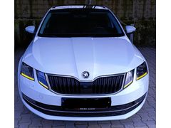 Sahibinden Skoda Octavia 1.6 TDI Style 2019 Model