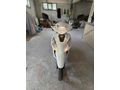 Sahibinden Honda Dio 2025 Model