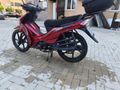 Sahibinden Kuba Ege 50