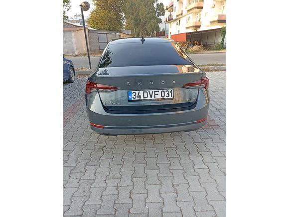 Sahibinden Skoda Octavia 1.0 e-Tec Premium 2020 Model