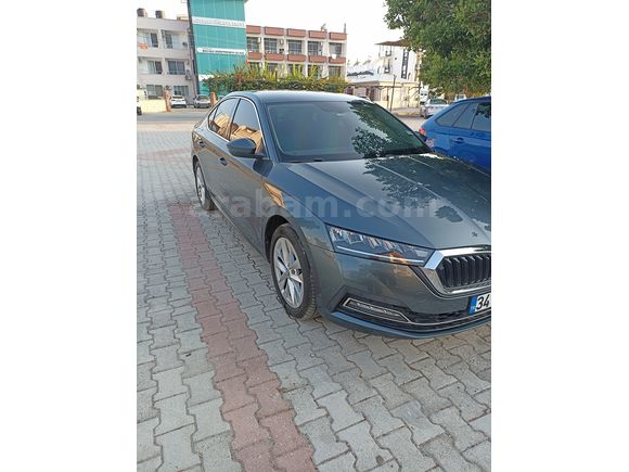 Sahibinden Skoda Octavia 1.0 e-Tec Premium 2020 Model