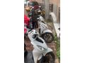 Sahibinden Honda Dio 