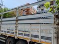Sahibinden Ford Trucks Cargo 3227 C