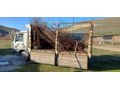 MUAYNE BUGUN YAPILDI 09.05 202635.9