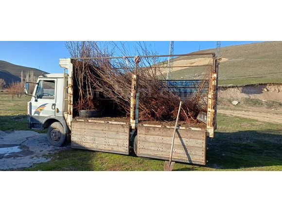 MUAYNE BUGUN YAPILDI 09.05 202635.9