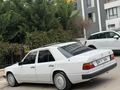 EMSALSİZ  TEMİZLİKTE DEĞİSENSİZ 230 /E OTOMATİK 