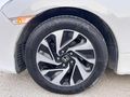 HATASIZ 2018~19 Honda CİVİC DİZEL Elegance