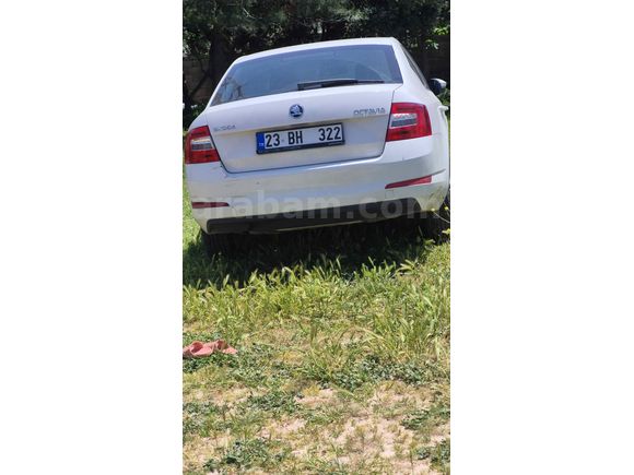 Sahibinden Skoda Octavia 1.6 TDI Style 2015 Model  178.000 km Beyaz