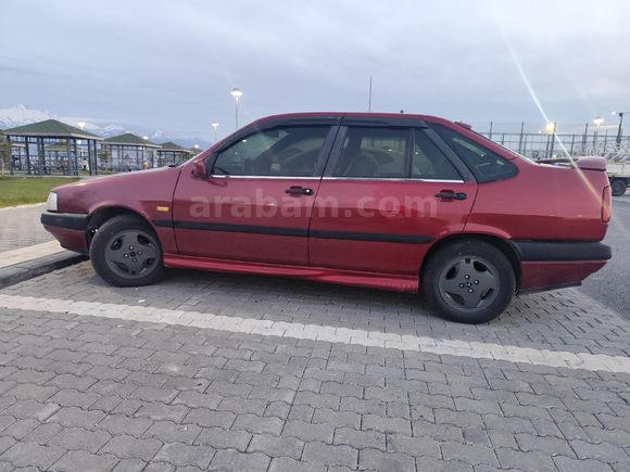 11 yıllık binicisinden sxA