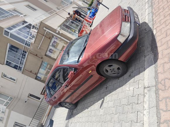 11 yıllık binicisinden sxA