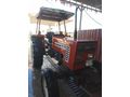 Full orjinal boyasız Fiat 60-56