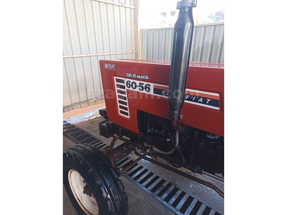 Full orjinal boyasız Fiat 60-56