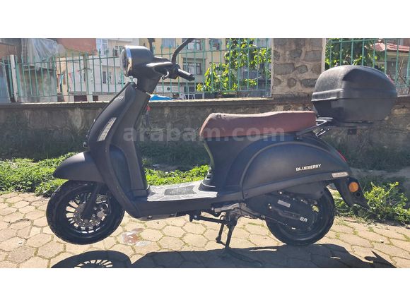 Sahibinden Kuba Blueberry Pro