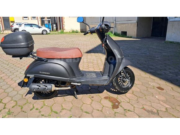 Sahibinden Kuba Blueberry Pro