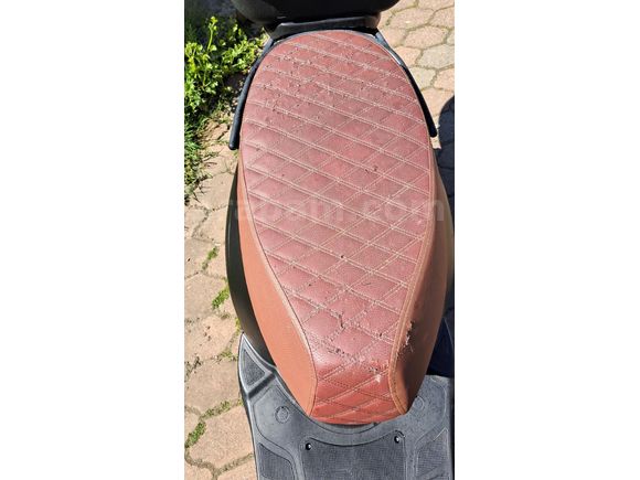 Sahibinden Kuba Blueberry Pro