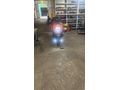 Sahibinden Honda NC 750D Integra 