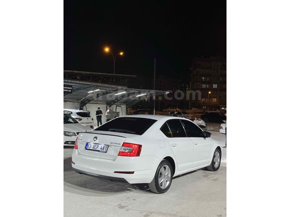 Sahibinden Skoda Octavia 1.6 TDI Optimal 2016 Model 