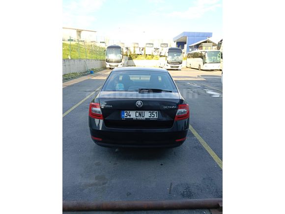 Sahibinden Skoda Octavia 1.6 TDI Optimal 2019 Model