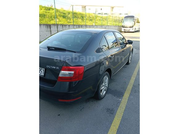 Sahibinden Skoda Octavia 1.6 TDI Optimal 2019 Model