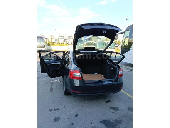 Sahibinden Skoda Octavia 1.6 TDI Optimal 2019 Model