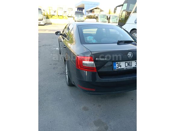 Sahibinden Skoda Octavia 1.6 TDI Optimal 2019 Model