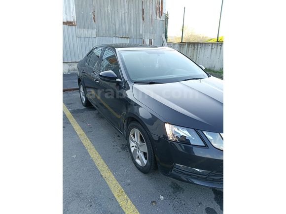 Sahibinden Skoda Octavia 1.6 TDI Optimal 2019 Model