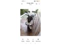 Sahibinden Honda PCX125 DX