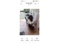 Sahibinden Honda PCX125 DX